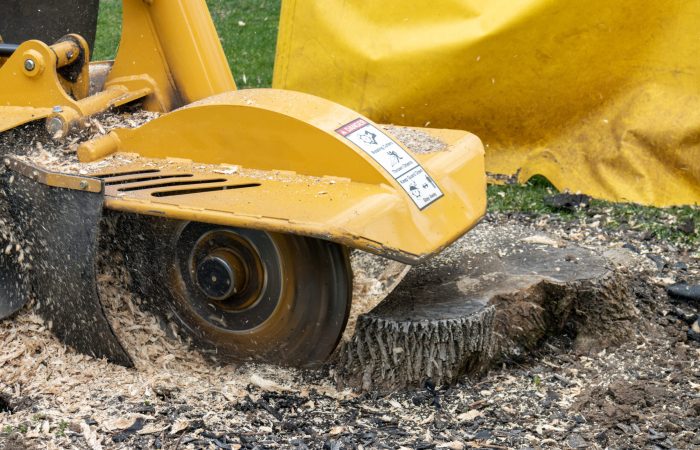 stump grinder cutting tree stump into wood chips